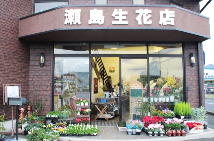 「瀬島生花店」心温まる季節の花であなたの気持ちを贈りましょう
