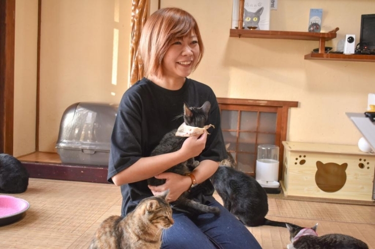 保護猫カフェ「猫の道草」　吉田藍さん