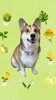 「Dog salon mofu mofu　余市町」