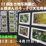 満濃池森林公園　第11回生き物写真展と第6回まんのうっ子の文化発表会