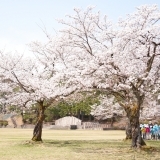 悠久山公園