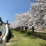 河川緑地たちばな公園