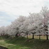 せせらぎ公園