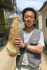 「伝統栽培法「穴肥え」【京たけのこ 小川】」