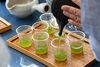 「5月4日（土）🌱新緑園×有機米・宮本「みやざき新茶摘み体験」🌱」