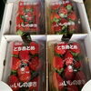 「宮城県産　いちご「とちおとめ」」