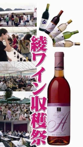 「蔵元ならでは“雲海酒造 綾蔵 綾ワイン収穫祭”開催!!」