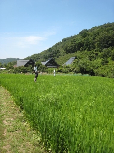 「【紀泉わいわい村】宿泊のご予約がウェブ上でできるようになりました！」