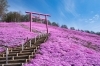 訓子府町のレクリエーション公園
