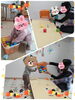 ボールころころ～♡「散策♡【交野市・小規模保育園】」