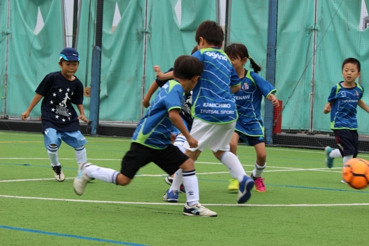 Z Futsal Sport スポーツクラブ ジム等 まいぷれ 船橋市