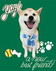 「Dog salon mofu mofu　余市町」