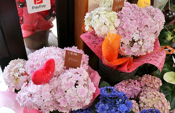 母の日特集 花のおくりもの 年度の情報です 母の日特集 感謝の気持ちを贈る まいぷれ 新居浜市 母の日特集 花のおくりもの 年度の情報です 母の日特集 感謝の気持ちを贈る まいぷれ 新居浜市