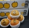 「今年も遂に…。 人気の『秋泉梨(しゅうせんなし)』入荷しました！！」