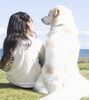 「まいぷれ尼崎に新しく「カウンセリングルーム　和（なごみ）」様が掲載となりました。これからよろしくお願いいたします。」