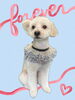 「Dog salon mofu mofu　余市町」