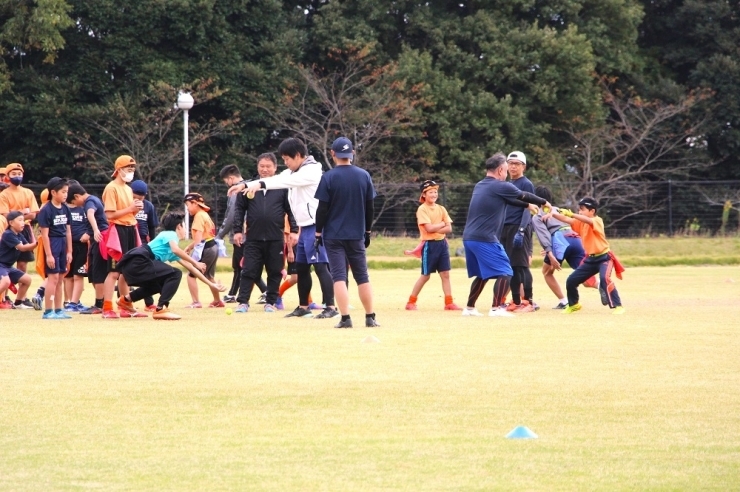 コーチが手から落としたボールを地面に落ちないうちに受け取れるか！　列に並んでいる子たちから声援が飛び交います。見ているだけで楽しいー！