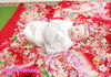 「お宮参り＆百日撮影に来て頂いた方にはプレゼントがあります♪　」