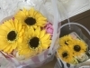 夏のディスプレイ Little Flower 小さな花屋 リトルフラワー のニュース まいぷれ 新居浜市
