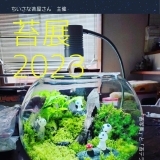 加古川市民ギャラリーで開催されている「苔展2023」を取材してまいりました！【2023年2月13日（月）～18日（土）】