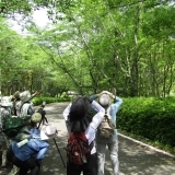 満濃池森林公園　春の野鳥観察会