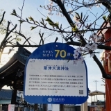 【加古川桜スポット2023】桜が咲き誇る「粟津神社」を散策してきました！！