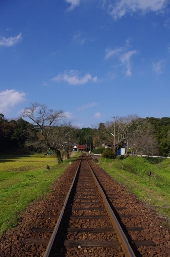 踏み切りの上から撮影したところ。<br>