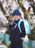 「桜ロケーション撮影は前写しがおススメです(^^♪」