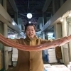 船橋市場で仕入れた鮮魚のカルパッチョ