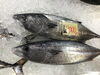 「魚魚市場おすすめは「殻付き牡蠣」です♪」