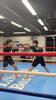 「火曜日はキックボクシングデイ🥊リベラルボックスジム！岡山市東区キックボクシングジム」