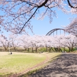 今宮公園