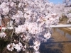 憧れの image.php?id=538112&p=mp&s= 額縁