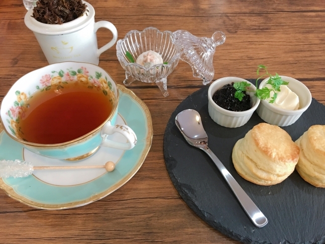 「BRILLIANT TEA（ブリリアントティー）」紅茶の世界へようこそ！　究極の一杯をご堪能ください♪