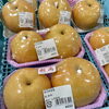 「南信州産 桃沢晴香園『梨』入荷します！」