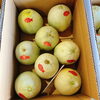 「お盆が終わってから… 「山沢プリンスメロン」が初出荷されたよーーー！！」