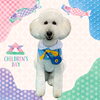 「Dog salon mofu mofu　余市町」