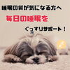 「睡眠でお悩みの方、増加中！あなたは大丈夫？？」