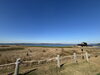 海が広がっているみたい「あまり話題にされない所限定！公園内の映えスポット紹介！！！」