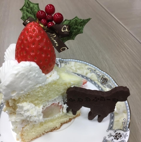 舞鶴ふるるファームさんの特製クリスマスケーキ Fmまいづる Marine Station Kyotoのニュース まいぷれ 舞鶴 綾部 福知山