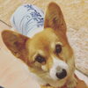 hug「Good morning Otaru!」