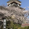 日進市内の桜スポット！