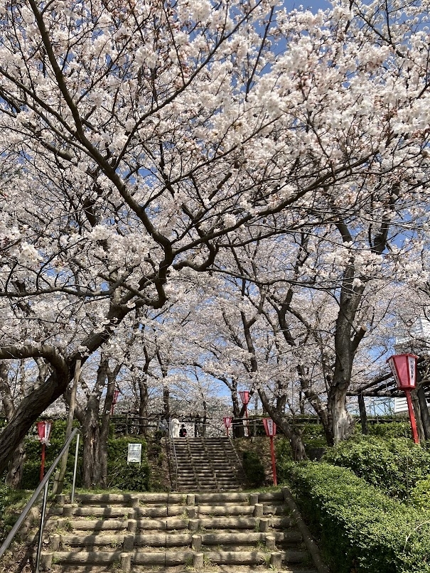 境台場公園  境港市