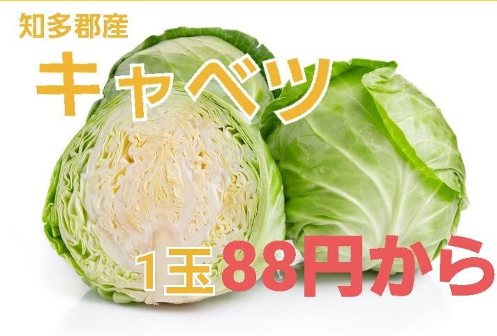 食べきりサイズ‼️嬉しい価格‼️「⭐ナス⭐3本190円‼️焼きナス✱麻婆なす✱天ぷらに/大府市/野菜直売」