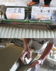 「最後の岡山畳表生産地「中栗坂（なかくりさか）」(5)」