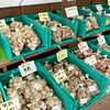 「直売所『原木椎茸』入荷してます！」