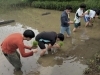 「肥留間農園さんに田植え体験をさせて頂きました☺️」