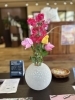 赤いスイートピーの季節です。「mannishの裏窓から桜(#´ᗜ`#)ニコニコ」