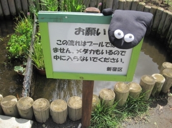 みんなで作った公園を大事にしたい気持ちが小さなたて看板に表れています。