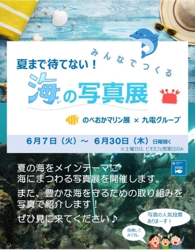 同時開催『みんなでつくる写真展』参加してね！「夏まで待てない！海がいっぱい　～癒しの海中写真展～　【九州電力宮崎支店】」